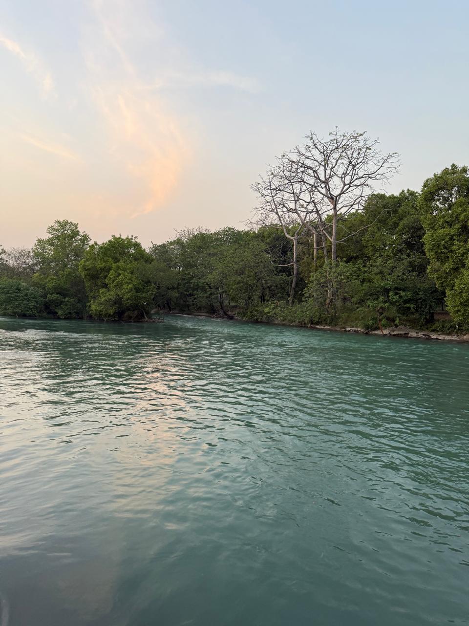 WhatsApp Image 2025-09-07 at 4.56.31 PM